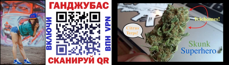 Купить где  Нововоронеж  Конопля конопля 